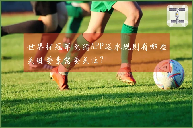 世界杯冠军竞猜APP返水规则有哪些关键要素需要关注？