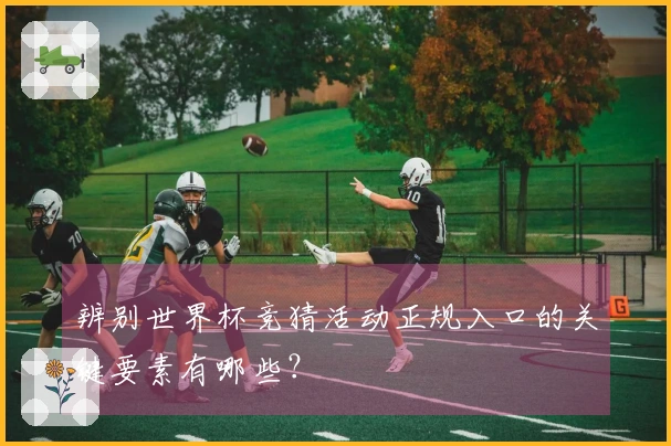 辨别世界杯竞猜活动正规入口的关键要素有哪些？