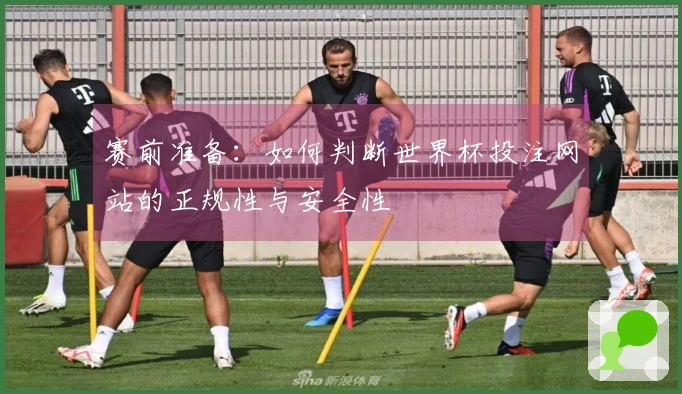赛前准备：如何判断世界杯投注网站的正规性与安全性