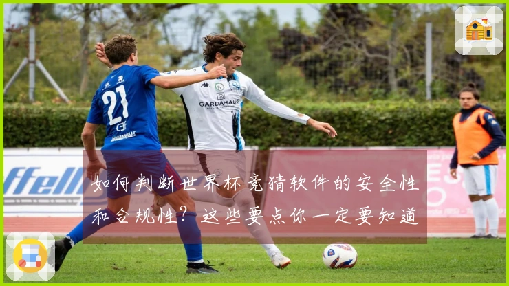 如何判断世界杯竞猜软件的安全性和合规性？这些要点你一定要知道