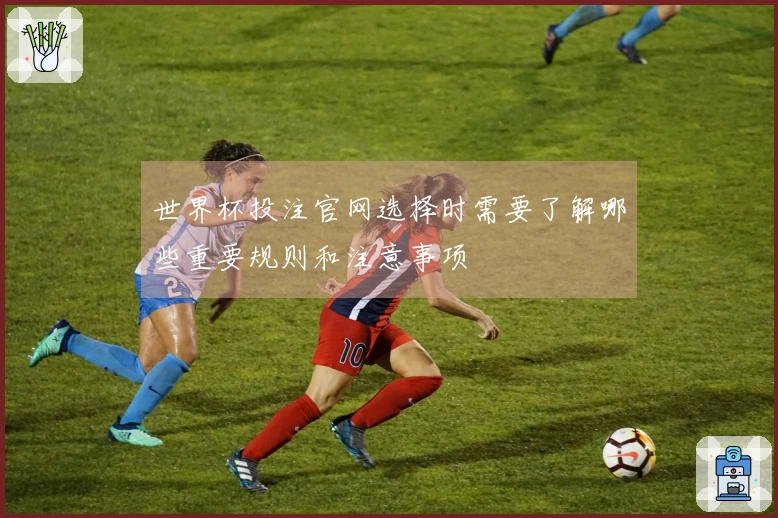 世界杯投注官网选择时需要了解哪些重要规则和注意事项