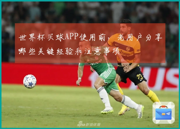 世界杯买球APP使用前，老用户分享哪些关键经验和注意事项