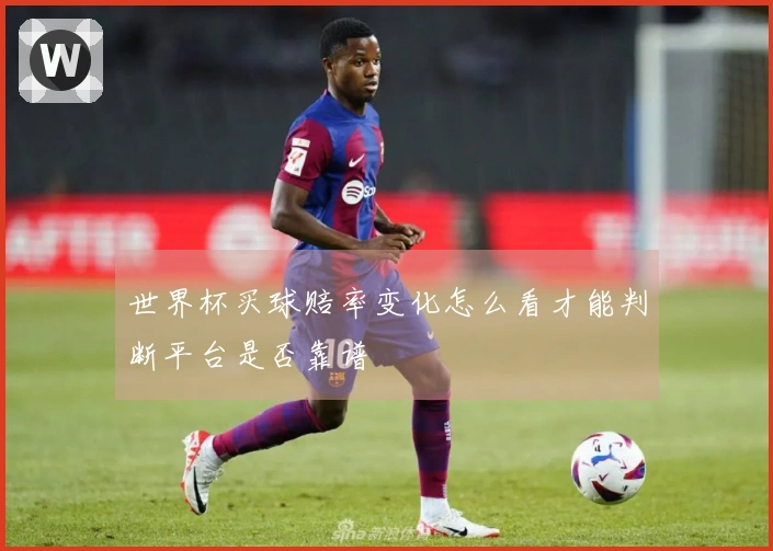 世界杯买球赔率变化怎么看才能判断平台是否靠谱