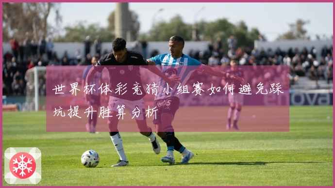 世界杯体彩竞猜小组赛如何避免踩坑提升胜算分析