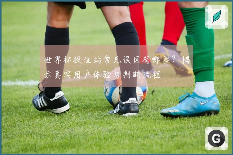 世界杯投注站常见误区有哪些？揭示真实用户体验与判断流程
