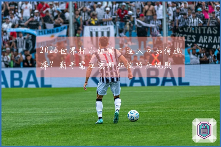 2026世界杯小组赛下注入口如何选择？新手需注意哪些技巧和规则