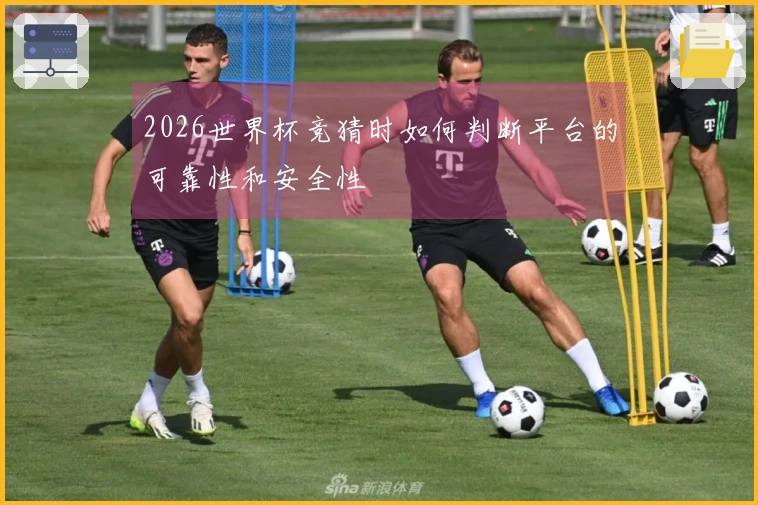 2026世界杯竞猜时如何判断平台的可靠性和安全性