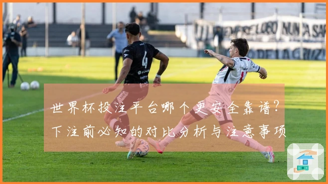 世界杯投注平台哪个更安全靠谱？下注前必知的对比分析与注意事项