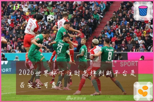 2026世界杯下注时怎样判断平台是否安全可靠?