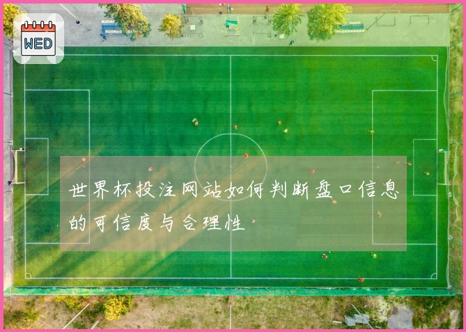 世界杯投注网站如何判断盘口信息的可信度与合理性