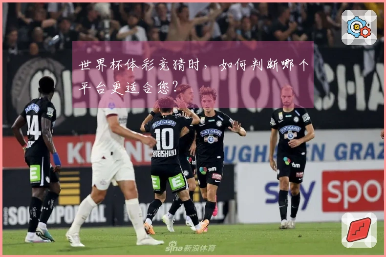 世界杯体彩竞猜时，如何判断哪个平台更适合您？