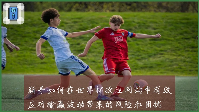 新手如何在世界杯投注网站中有效应对输赢波动带来的风险和困扰