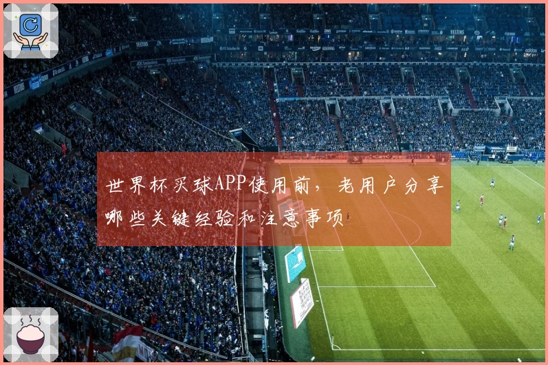 世界杯买球APP使用前，老用户分享哪些关键经验和注意事项