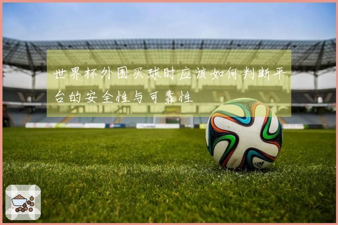 世界杯外围买球时应该如何判断平台的安全性与可靠性