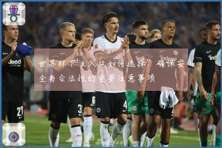 世界杯下注入口如何选择？确保安全与合法性的重要注意事项