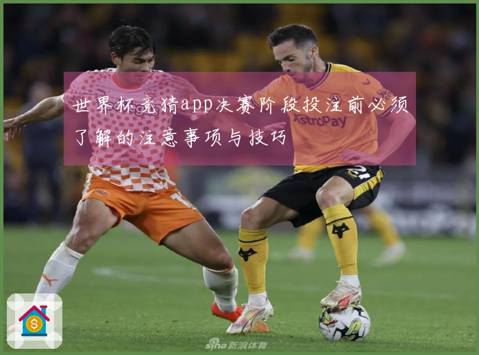 世界杯竞猜app决赛阶段投注前必须了解的注意事项与技巧