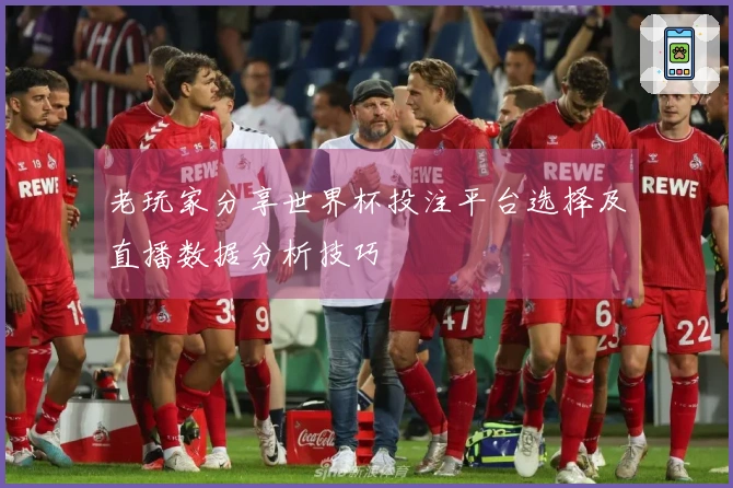 老玩家分享世界杯投注平台选择及直播数据分析技巧