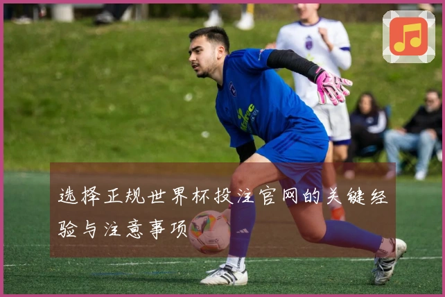 选择正规世界杯投注官网的关键经验与注意事项