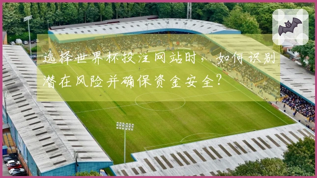 选择世界杯投注网站时，如何识别潜在风险并确保资金安全？