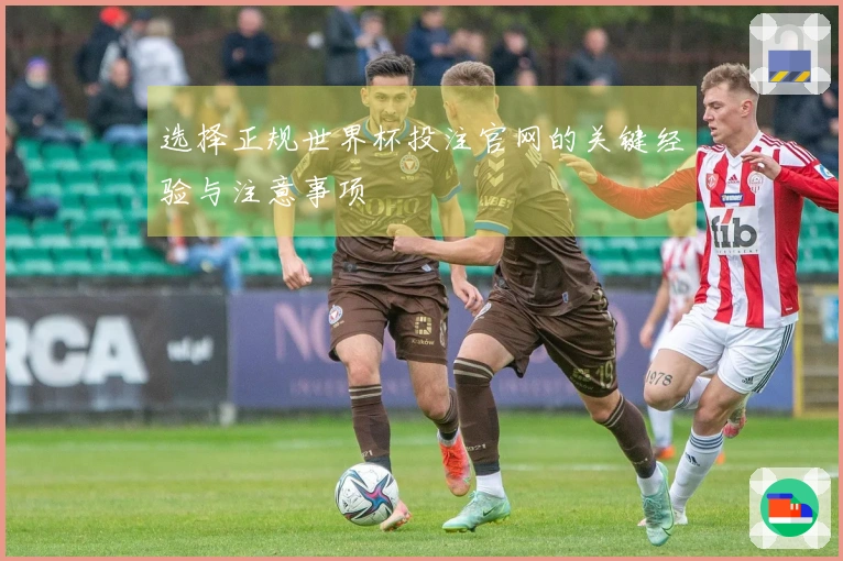 选择正规世界杯投注官网的关键经验与注意事项