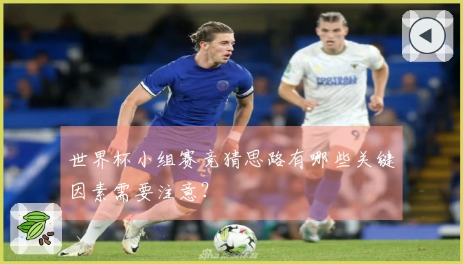 世界杯小组赛竞猜思路有哪些关键因素需要注意？