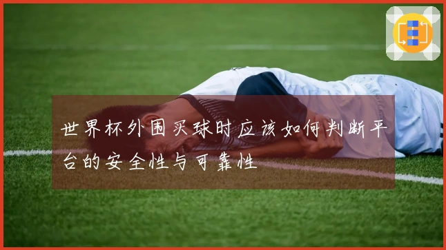 世界杯外围买球时应该如何判断平台的安全性与可靠性
