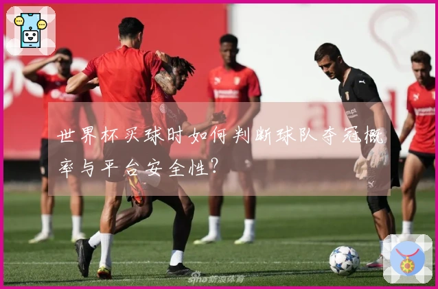 世界杯买球时如何判断球队夺冠概率与平台安全性？