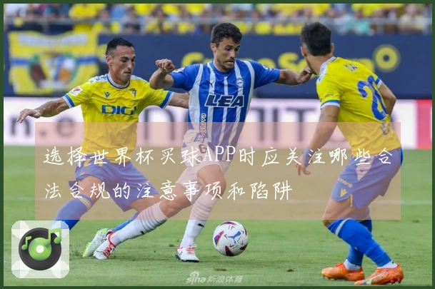 选择世界杯买球APP时应关注哪些合法合规的注意事项和陷阱