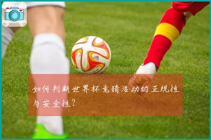 如何判断世界杯竞猜活动的正规性与安全性？