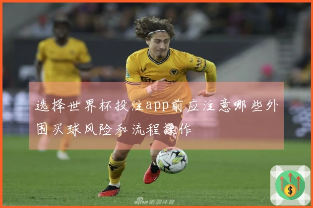 选择世界杯投注app前应注意哪些外围买球风险和流程操作