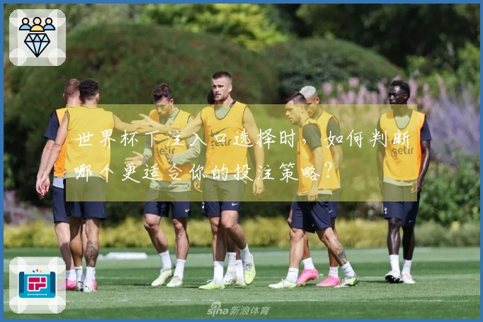 世界杯下注入口选择时，如何判断哪个更适合你的投注策略？