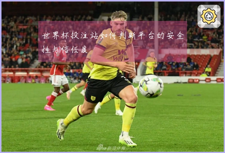 世界杯投注站如何判断平台的安全性与信任度