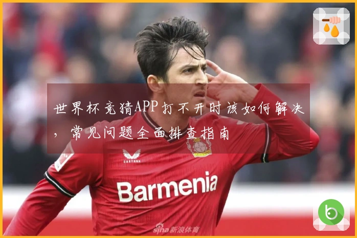 世界杯竞猜APP打不开时该如何解决，常见问题全面排查指南