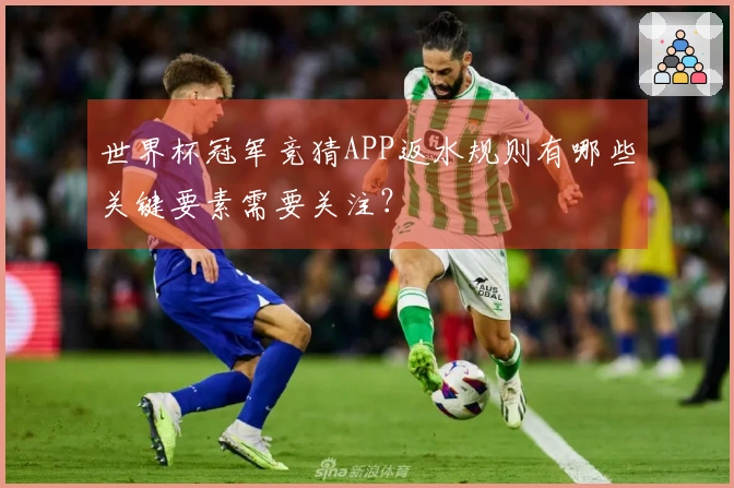 世界杯冠军竞猜APP返水规则有哪些关键要素需要关注？