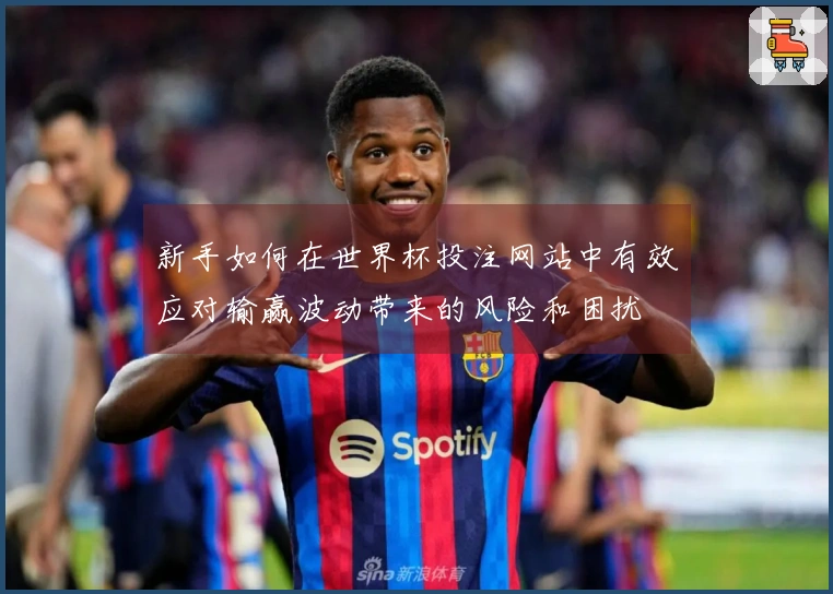 新手如何在世界杯投注网站中有效应对输赢波动带来的风险和困扰
