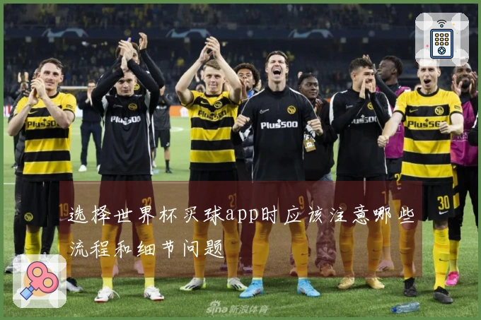 选择世界杯买球app时应该注意哪些流程和细节问题