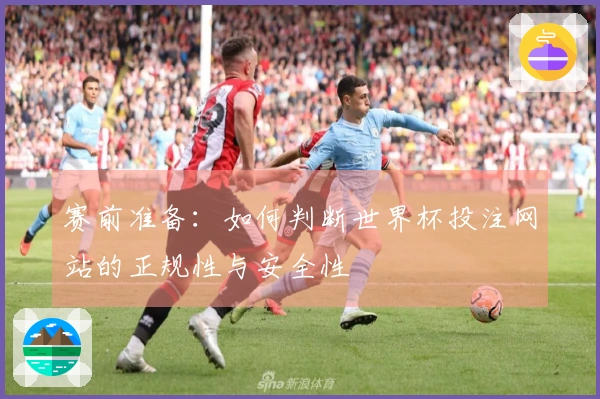 赛前准备：如何判断世界杯投注网站的正规性与安全性