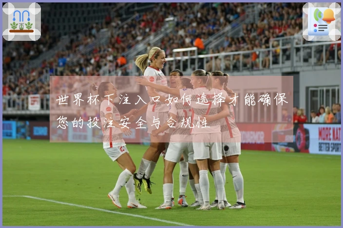 世界杯下注入口如何选择才能确保您的投注安全与合规性
