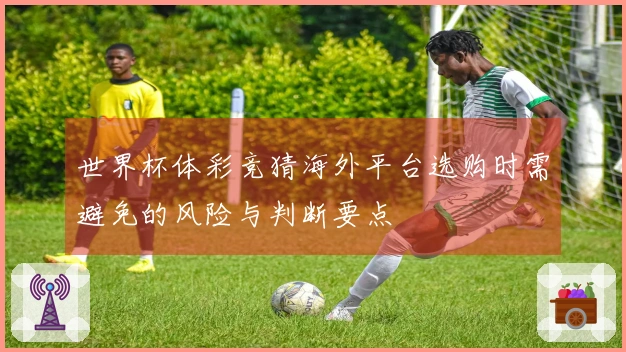 世界杯体彩竞猜海外平台选购时需避免的风险与判断要点