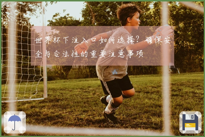 世界杯下注入口如何选择？确保安全与合法性的重要注意事项