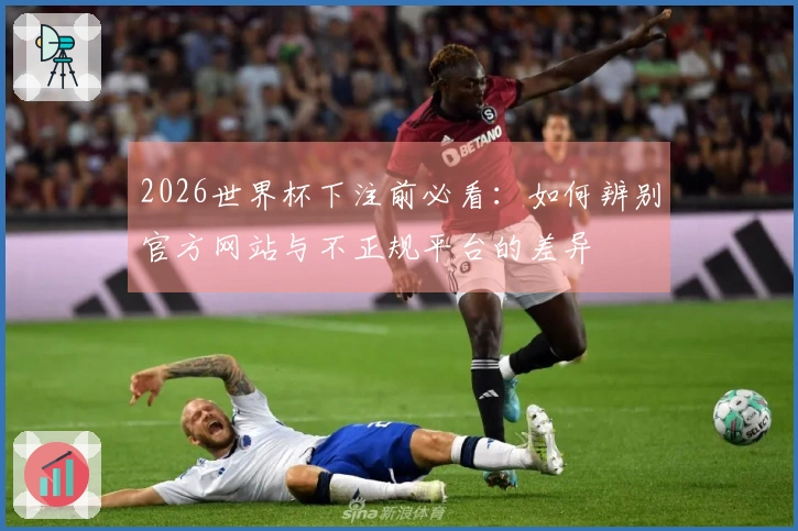 2026世界杯下注前必看：如何辨别官方网站与不正规平台的差异