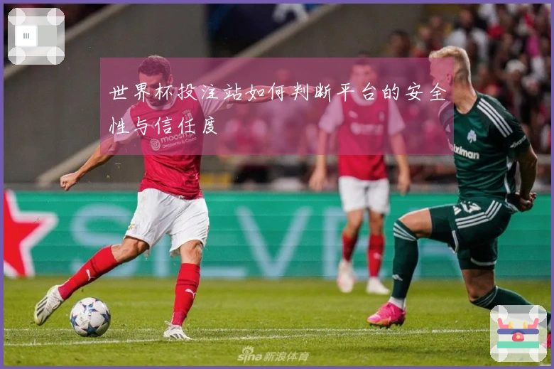 世界杯投注站如何判断平台的安全性与信任度