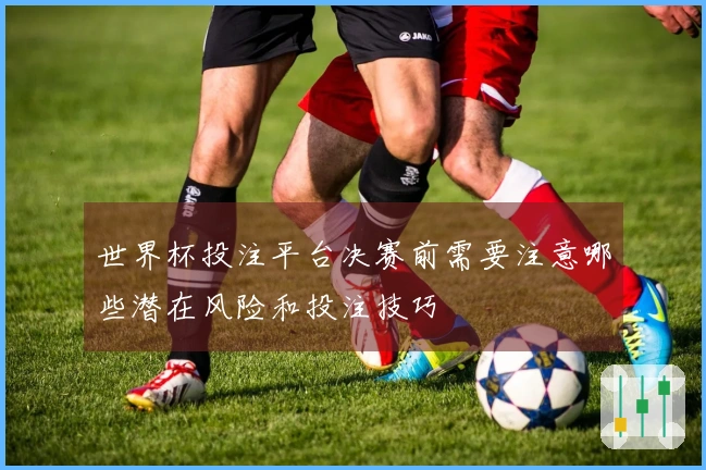 世界杯投注平台决赛前需要注意哪些潜在风险和投注技巧