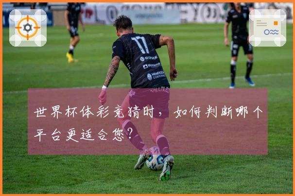 世界杯体彩竞猜时，如何判断哪个平台更适合您？