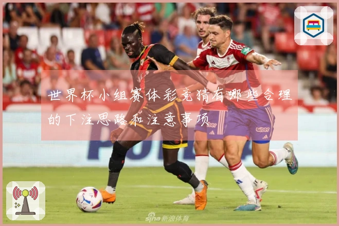 世界杯小组赛体彩竞猜有哪些合理的下注思路和注意事项