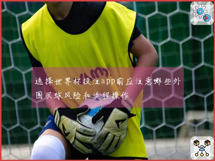 选择世界杯投注app前应注意哪些外围买球风险和流程操作
