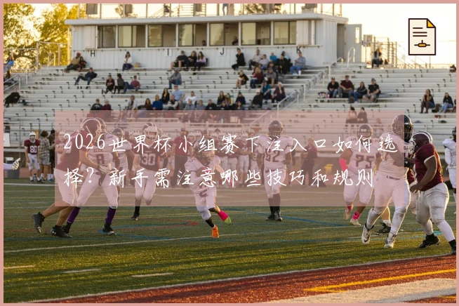2026世界杯小组赛下注入口如何选择？新手需注意哪些技巧和规则