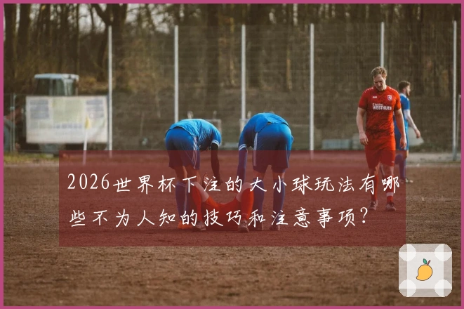 2026世界杯下注的大小球玩法有哪些不为人知的技巧和注意事项？